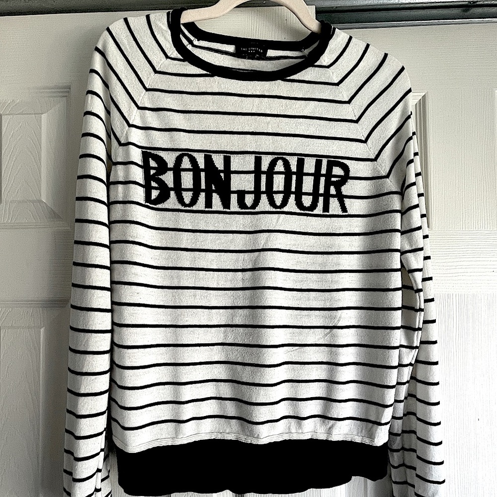 Navy Blue Stripped Sweater